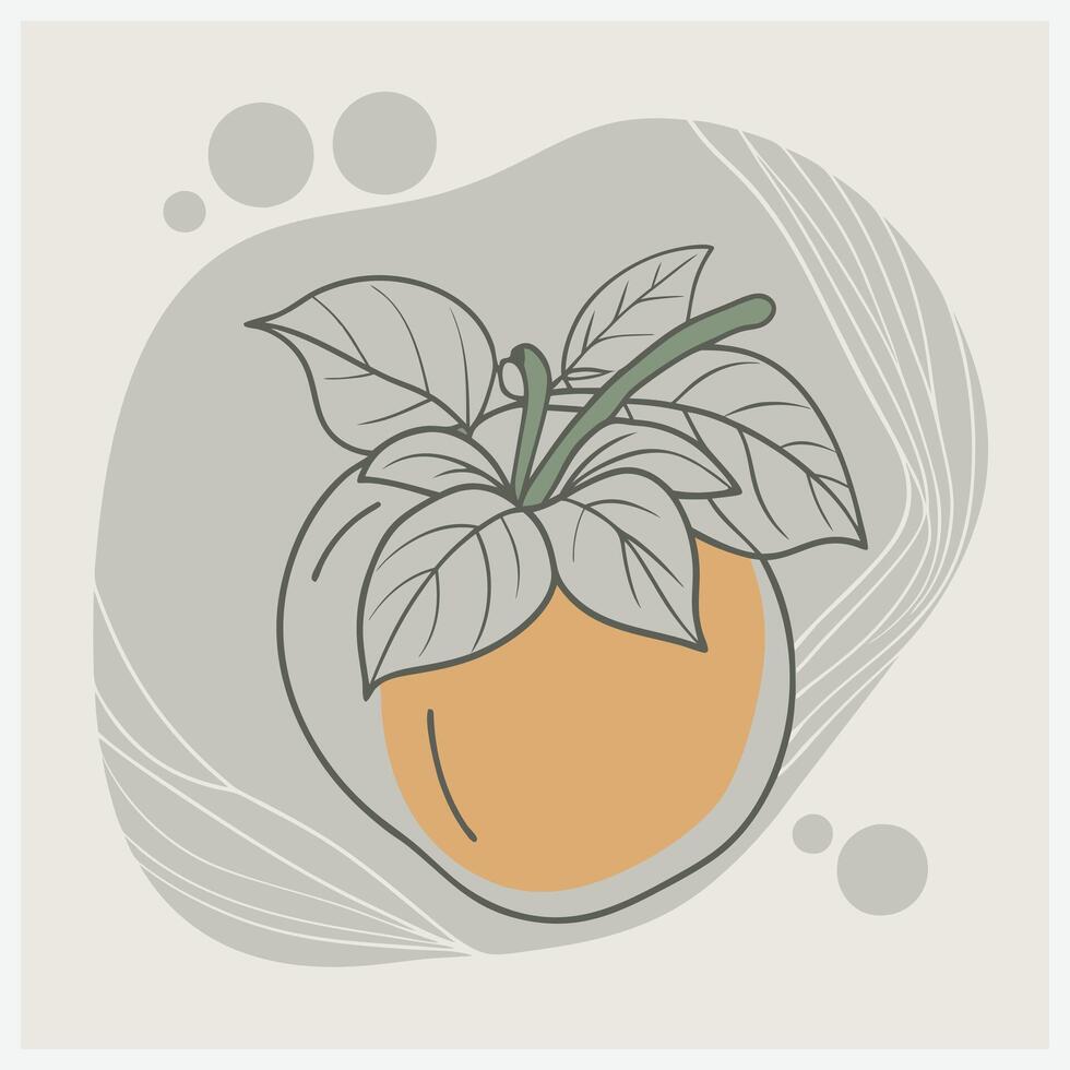 Lush Persimmon Illustration vector