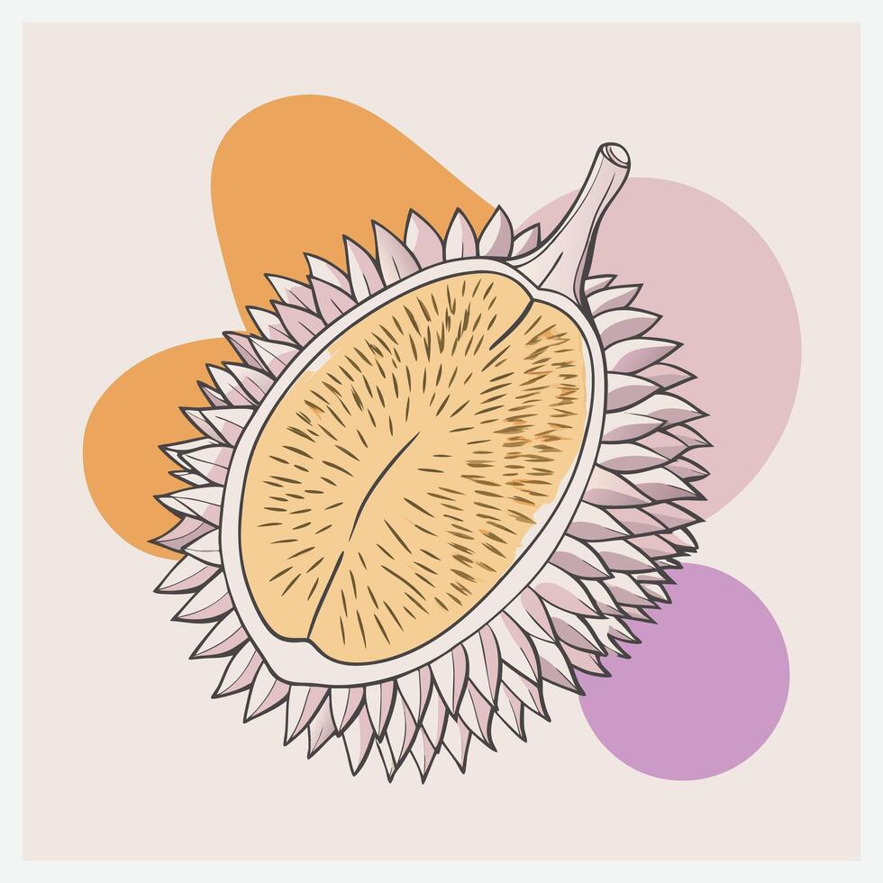 Ultimate Durian Illustration Exotic Fruit Art vector