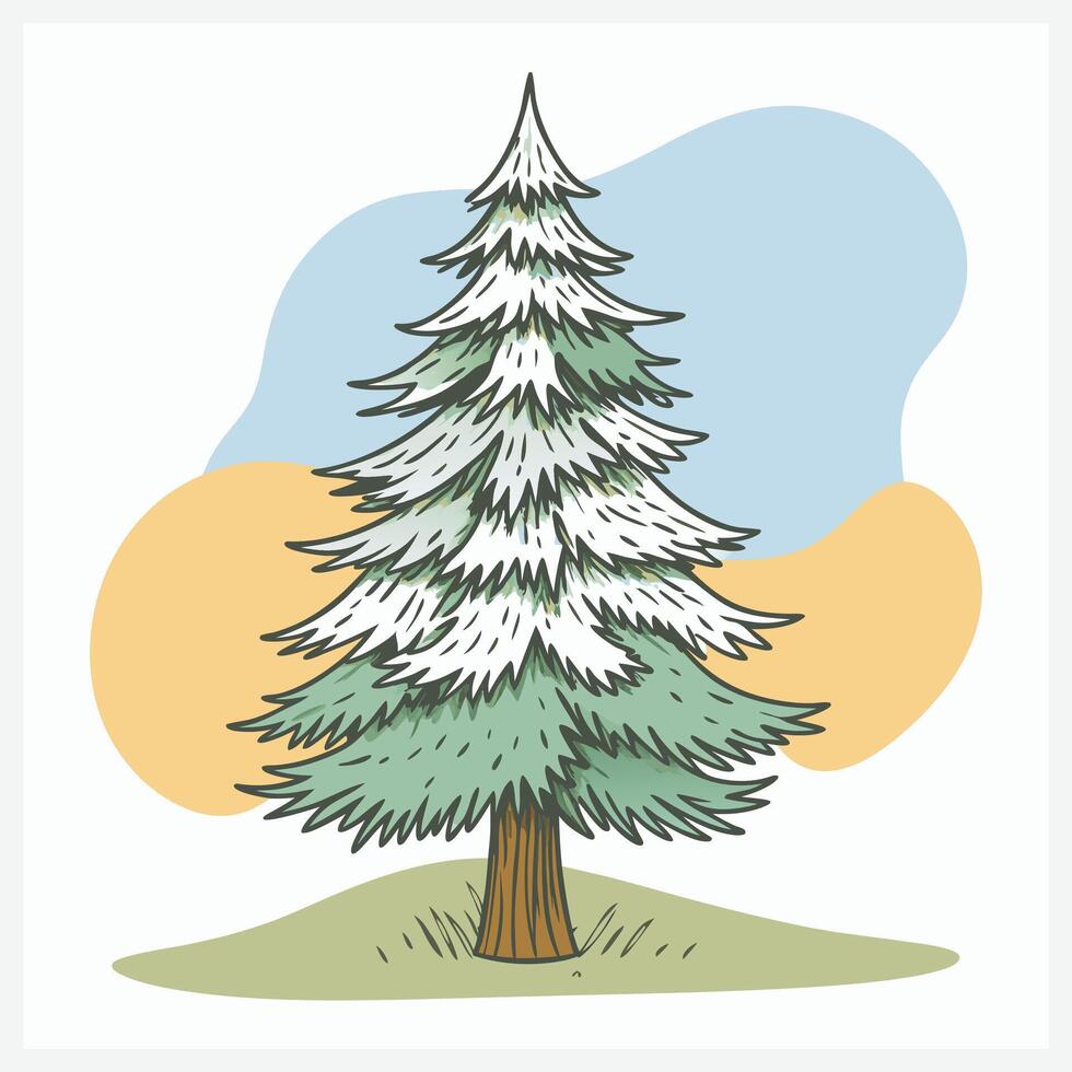 Douglas Fir Illustration vector