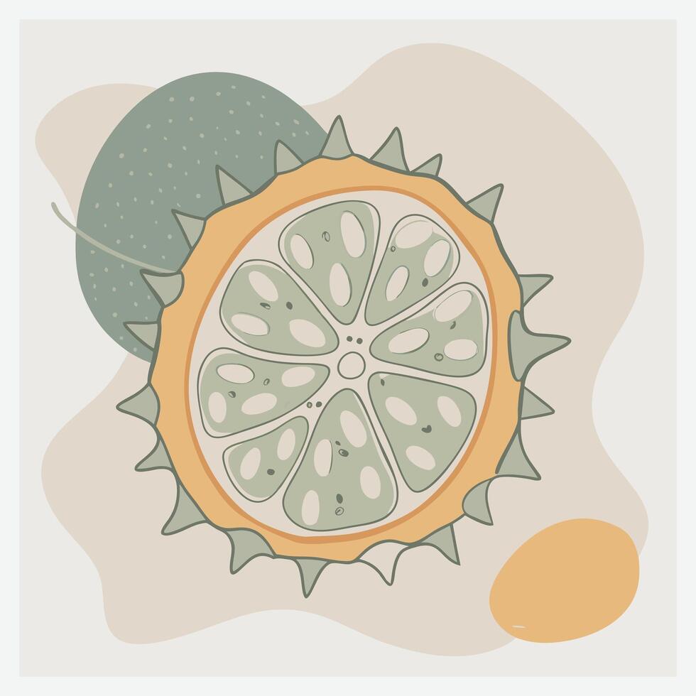 Vibrant Kiwans Illustration, Exotic Horned Melon in Stunning Detail vector