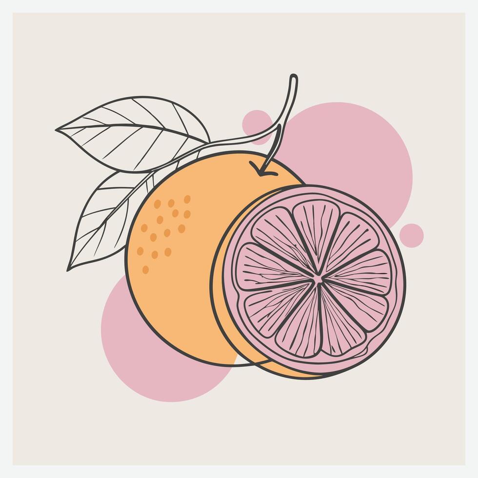 Vibrant Pomelo Illustration vector
