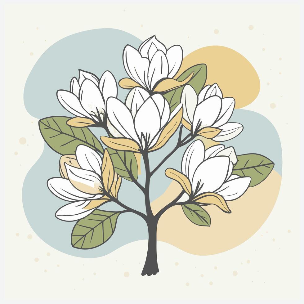 Magnolia Tree - Elegant and Detailed Botanical Illustration vector