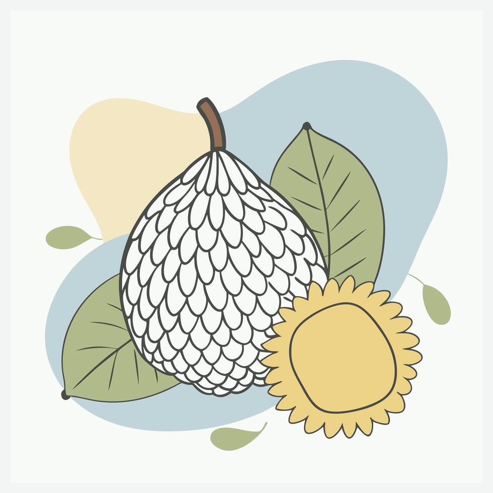Salak Fruit Illustration Exotic and Detailed Design vector