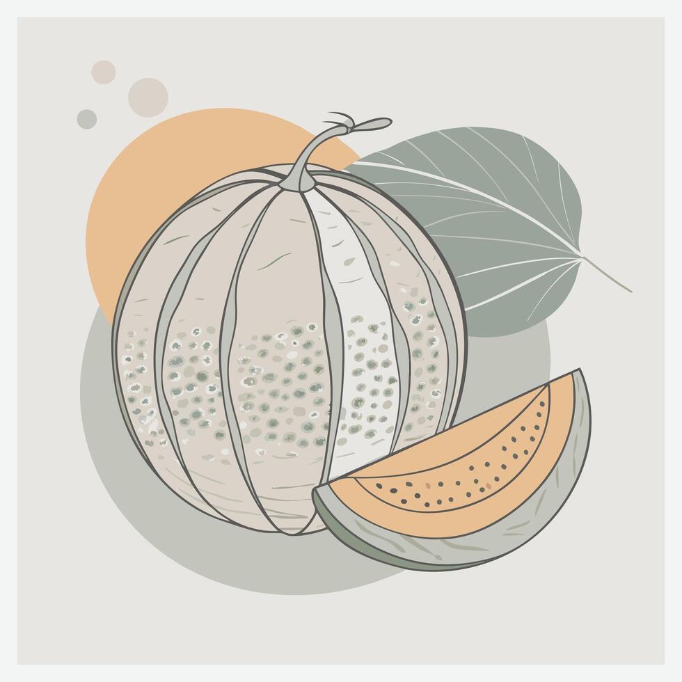 Juicy Melon Illustration Fresh and Vibrant Fruit Design vector