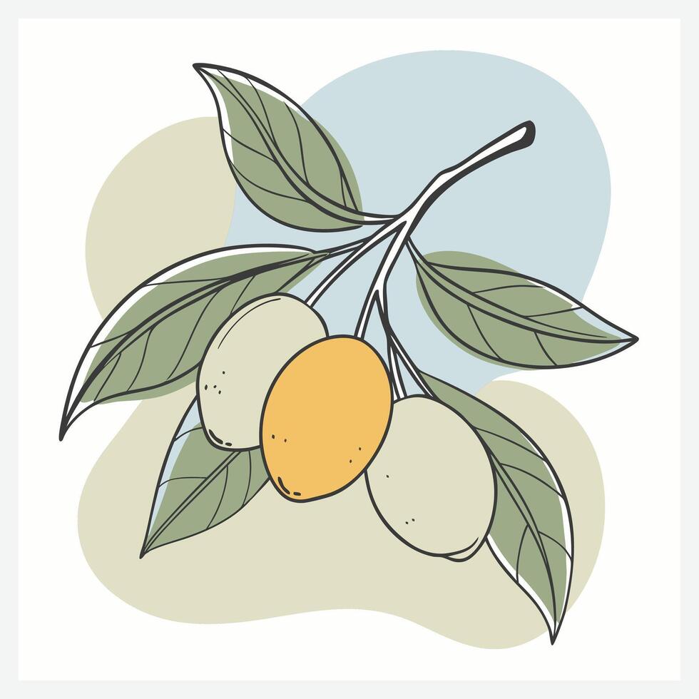 Vibrant Kumquat Illustration, Fresh Citrus Fruit Design in Stunning Detail vector