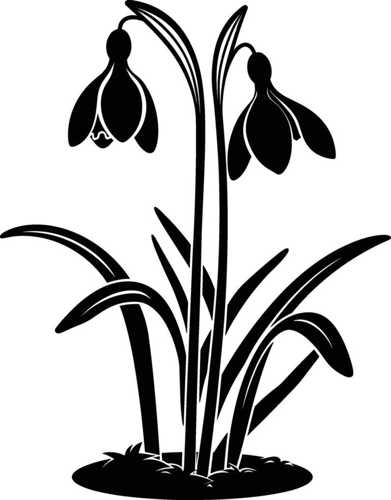 Snowdrop flower silhouette, black silhouette of snowdrop. vector