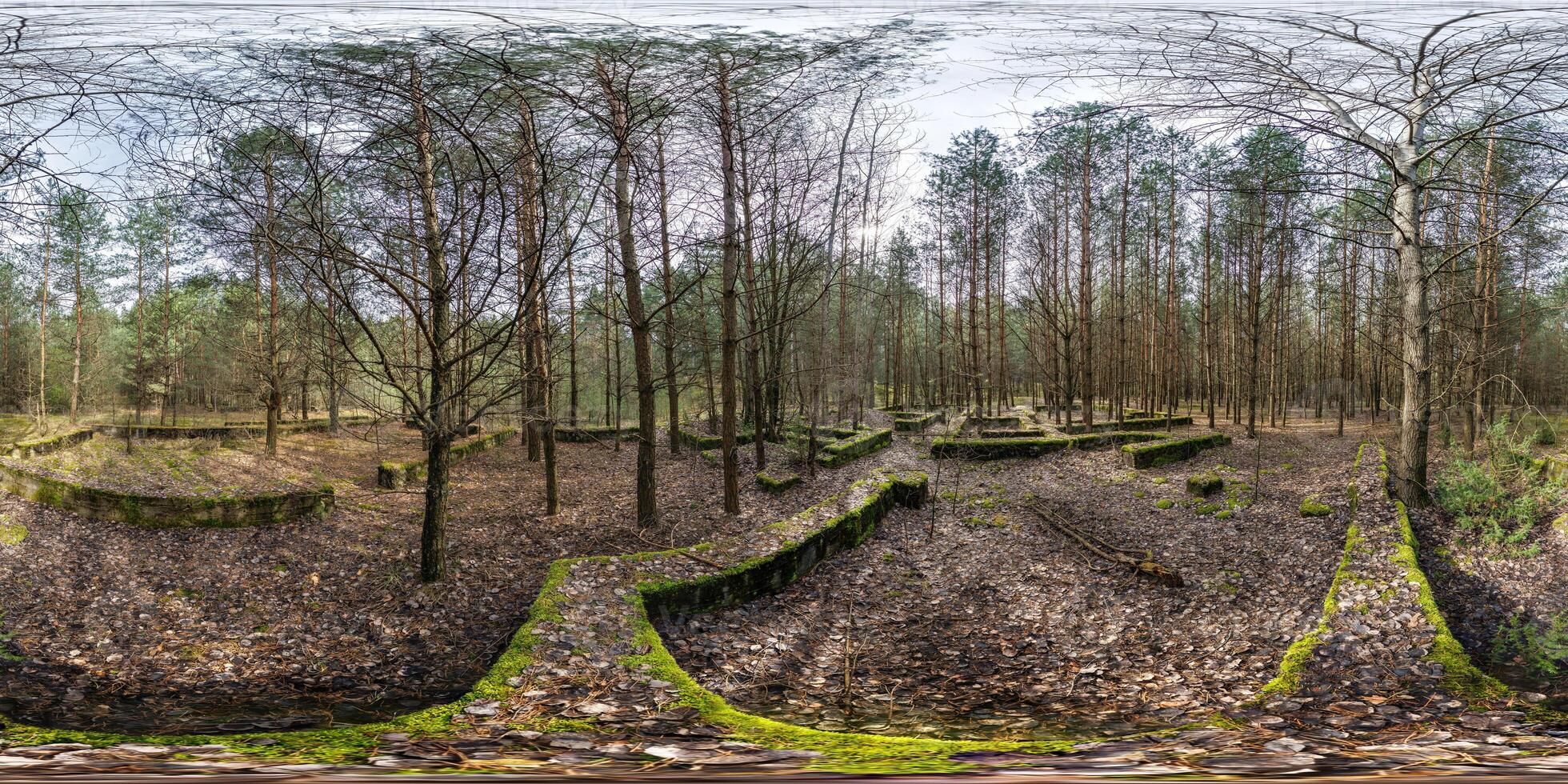 hdri panorama 360 in pine forest near concrete foundation covered with moss abandoned unfinished building and traces of ancient highly developed civilization in equirectangular spherical projection. photo