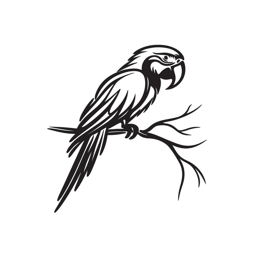 a black silhouette single line macaw with white background image vector