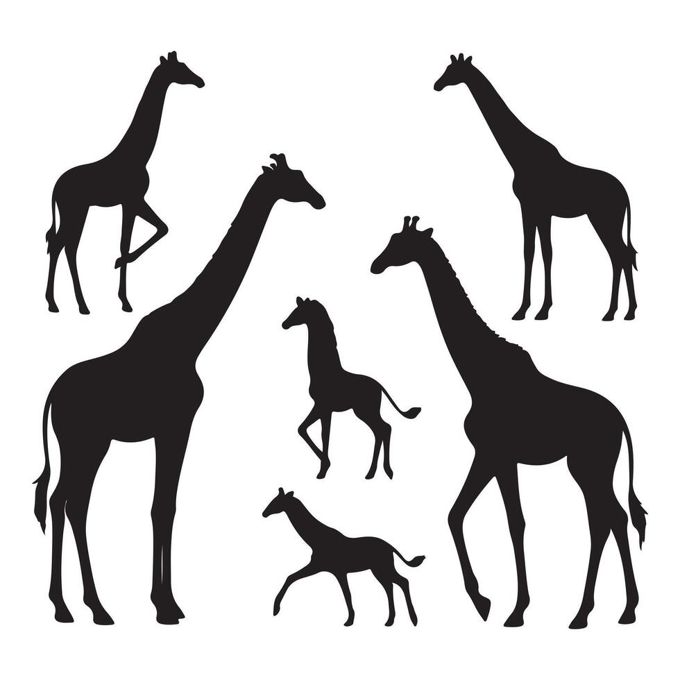 black silhouette Giraffe set vector