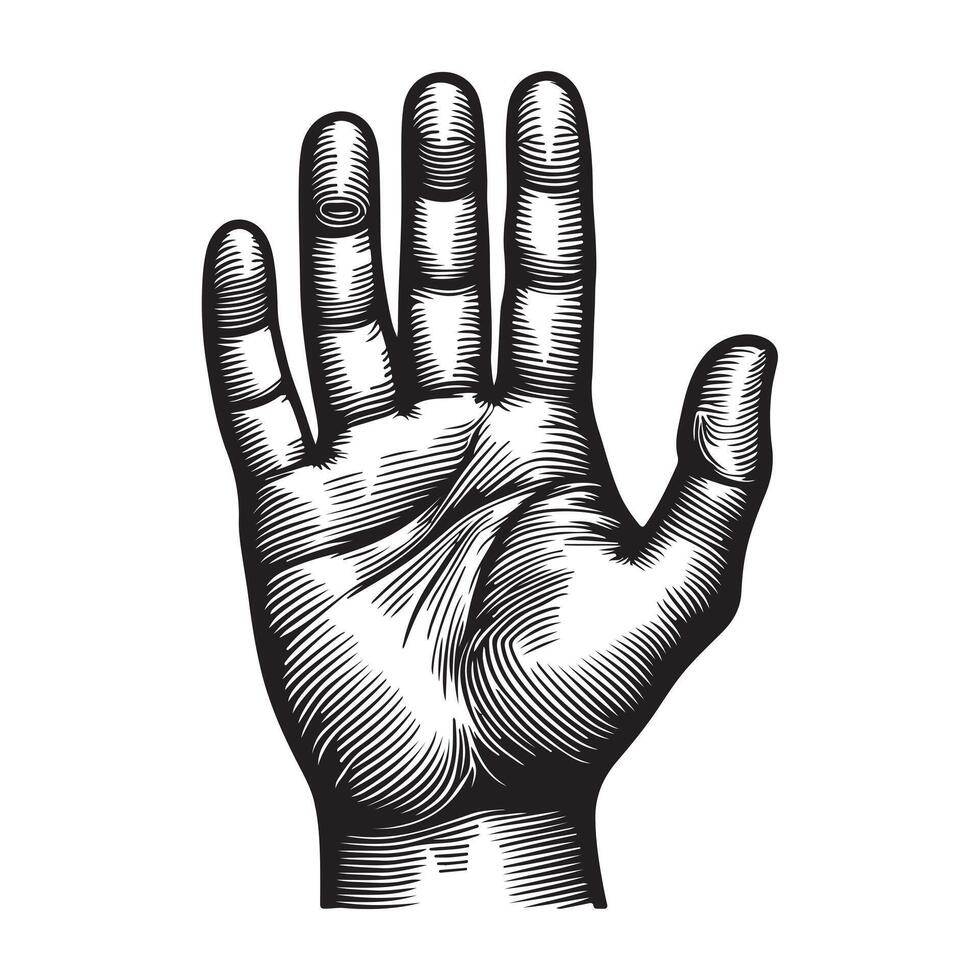Hand palm outline image with white background vector