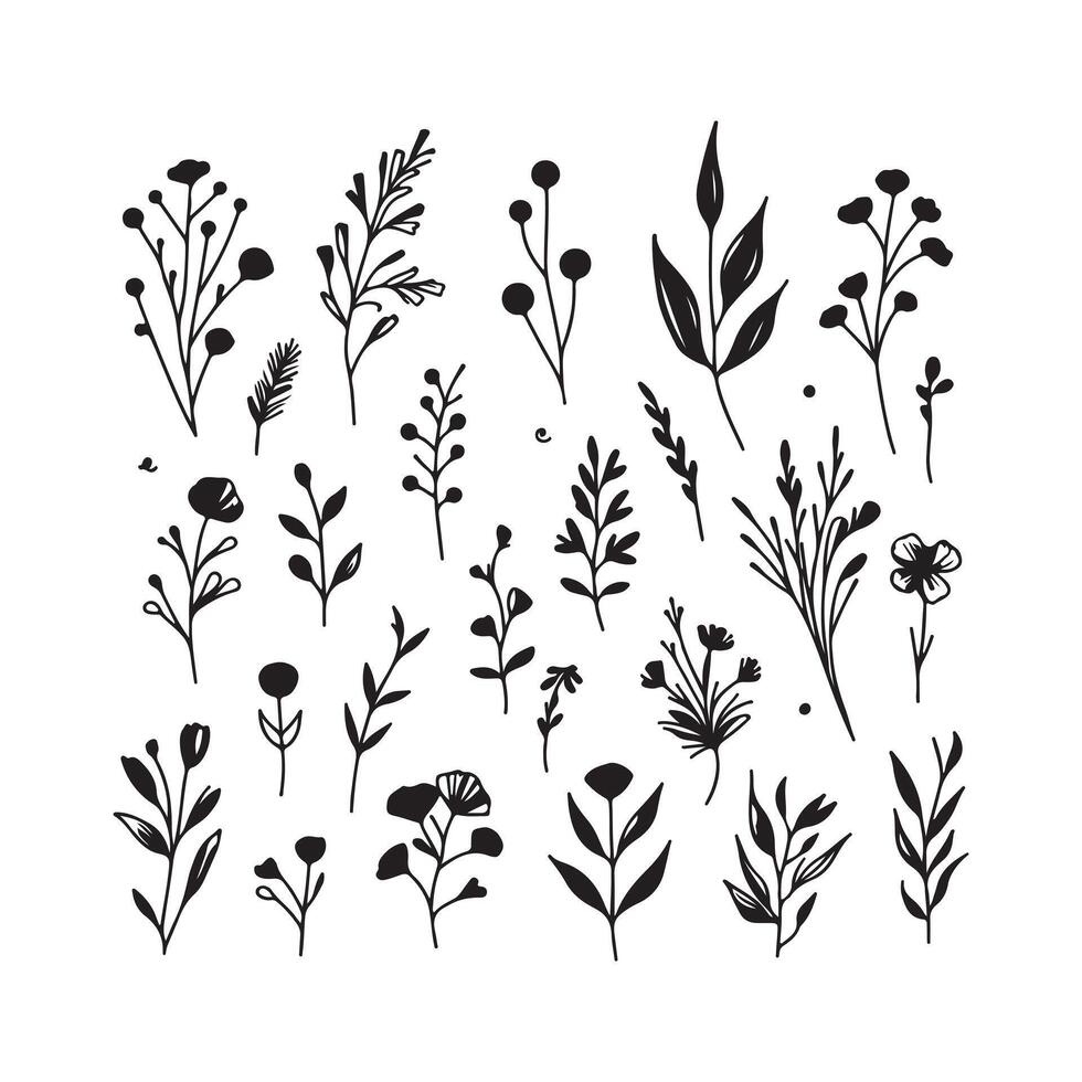 black silhouette singal line flowers with white background vector