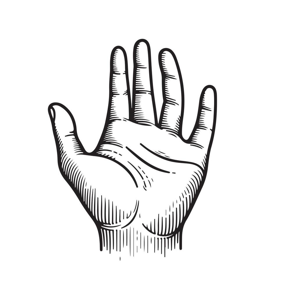 Hand palm outline image with white background vector