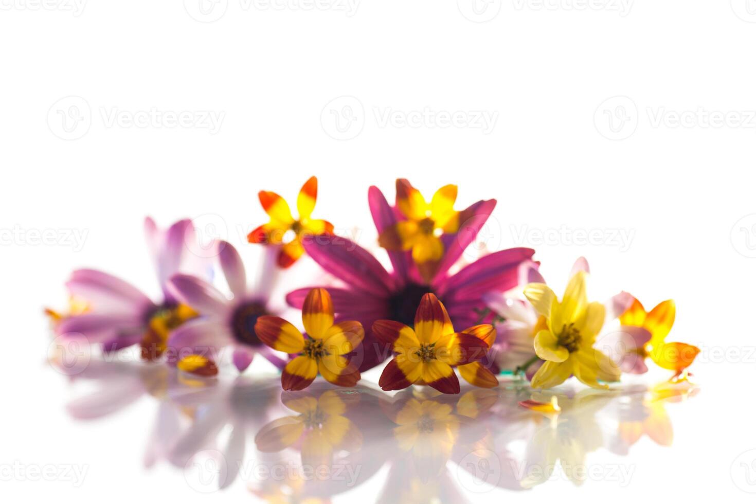 small bouquet of small multi-colored summer flowers photo
