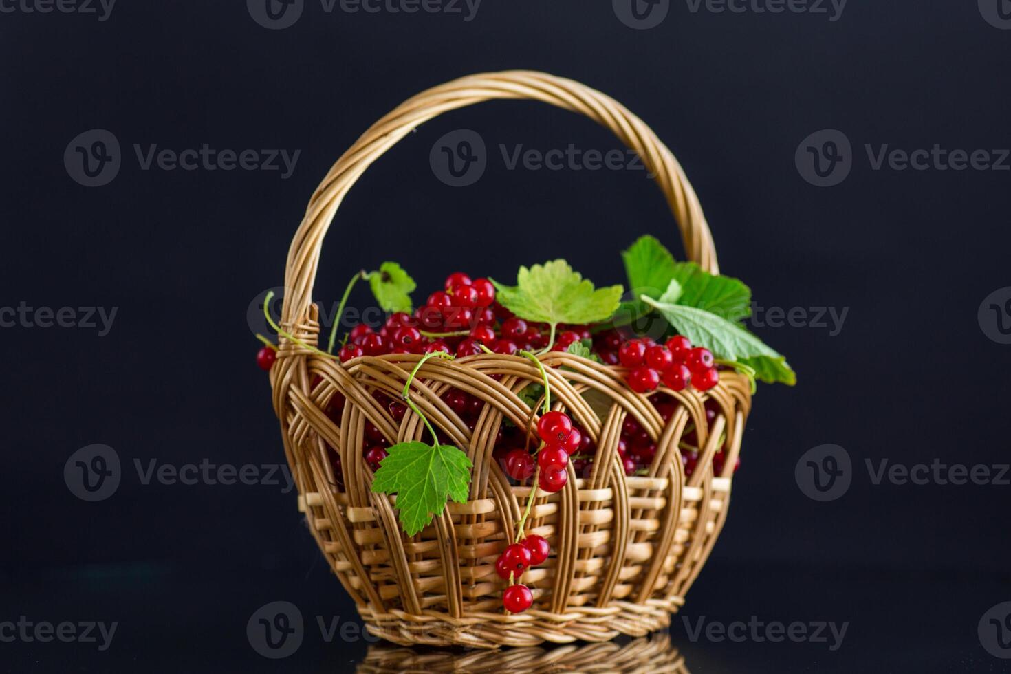 twigs of ripe red currants, isolated on a black background photo