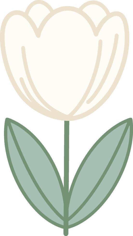 Elegant White Tulip Flower Illustration vector