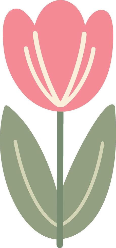 Simple Pink Tulip Flower Illustration with Green Leaves vector