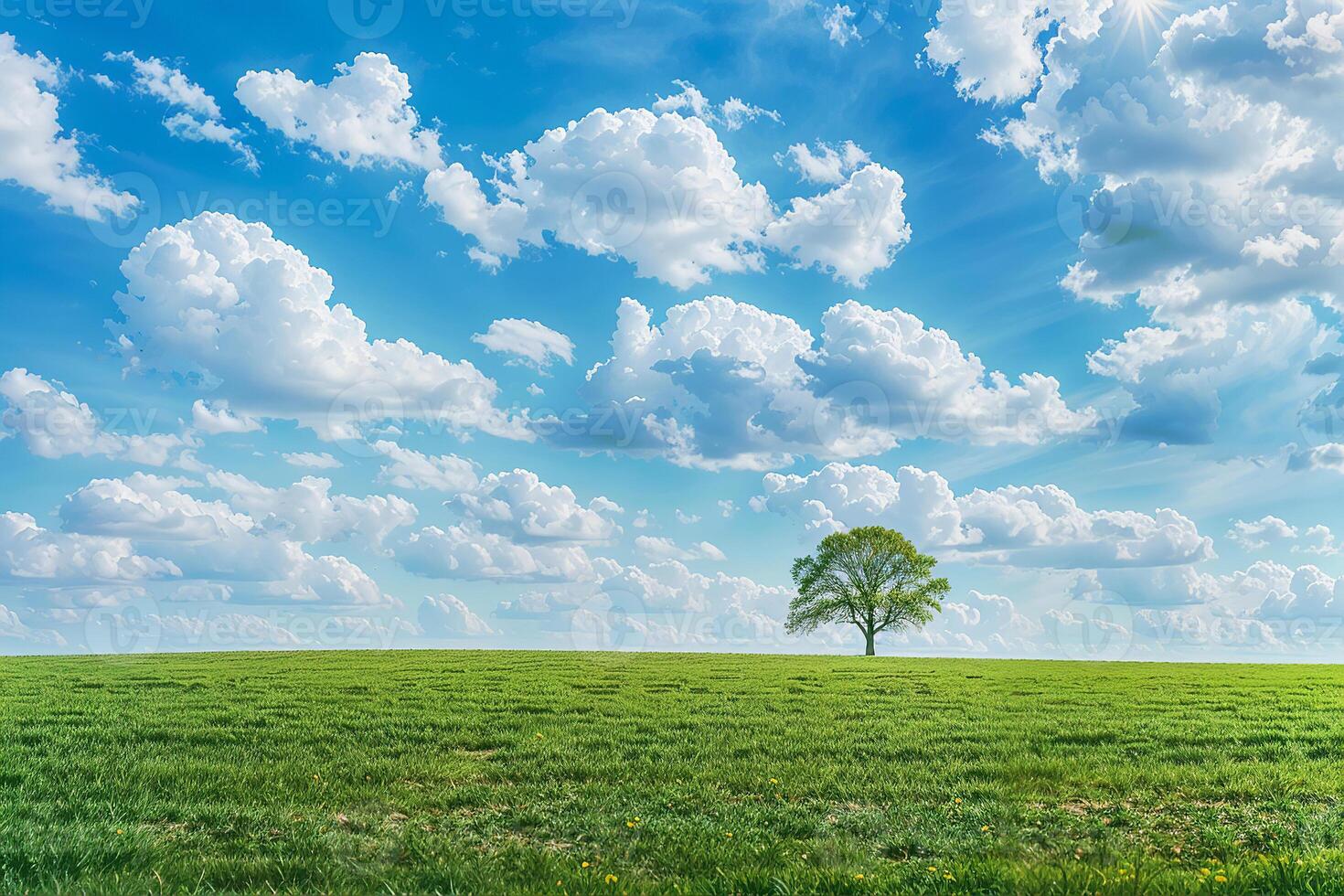 A lush green field under a bright blue sky filled with white, fluffy clouds photo