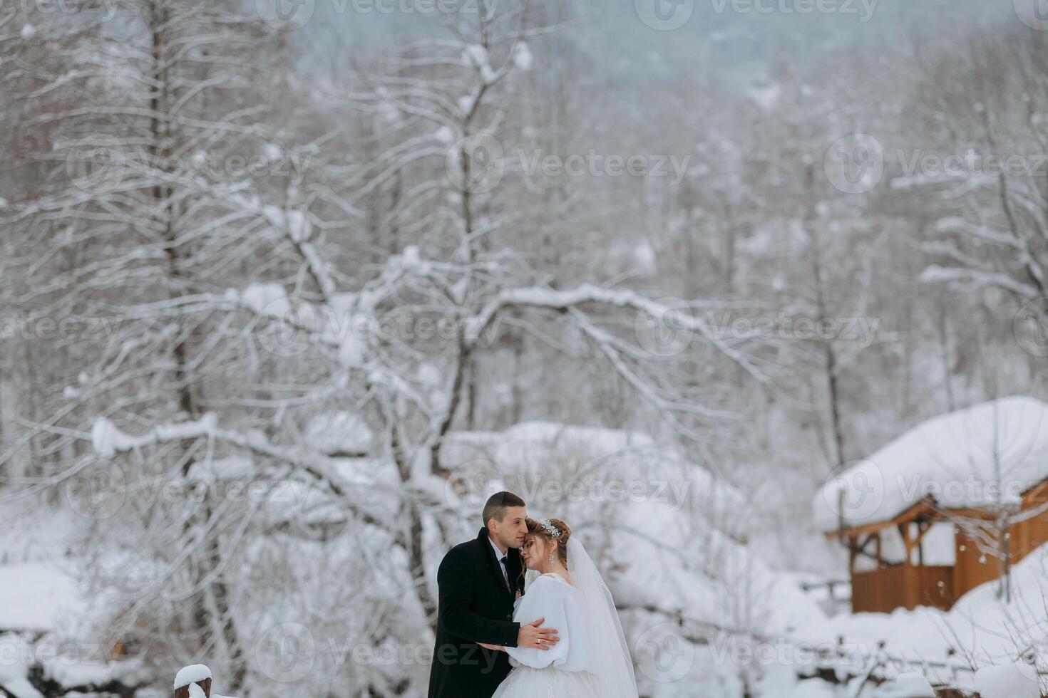 A couple is standing in the snow, with the bride wearing a white dress. They are hugging each other, and the bride is wearing a veil. The scene is set in a snowy forest, with trees in the background photo