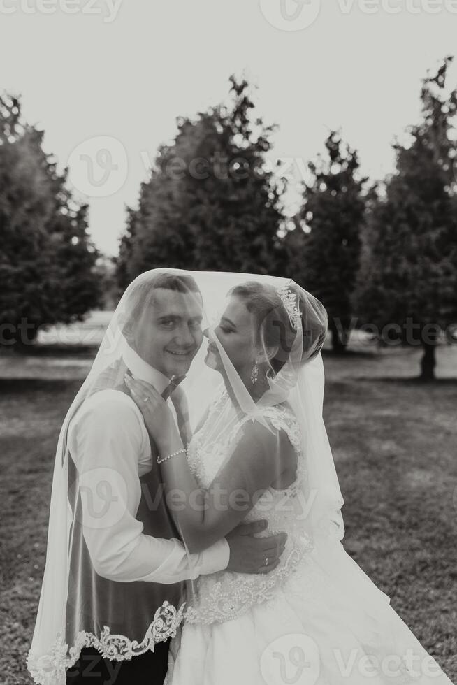 A bride and groom are standing in a field with trees in the background. The bride is wearing a veil and the groom is wearing a vest. They are embracing each other and looking into each other's eyes photo