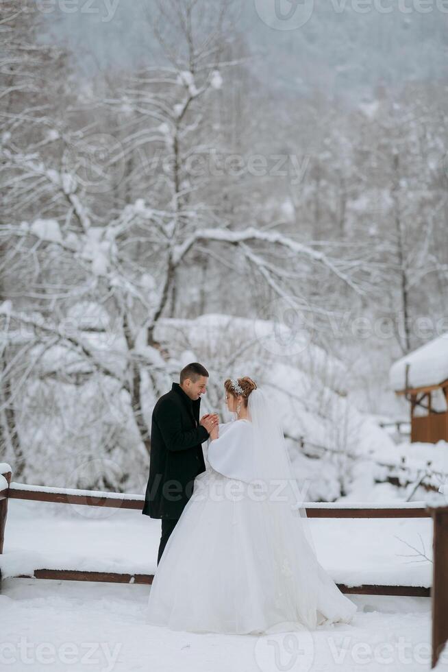 A bride and groom are standing in the snow, with the bride wearing a white dress and the groom wearing a black coat photo