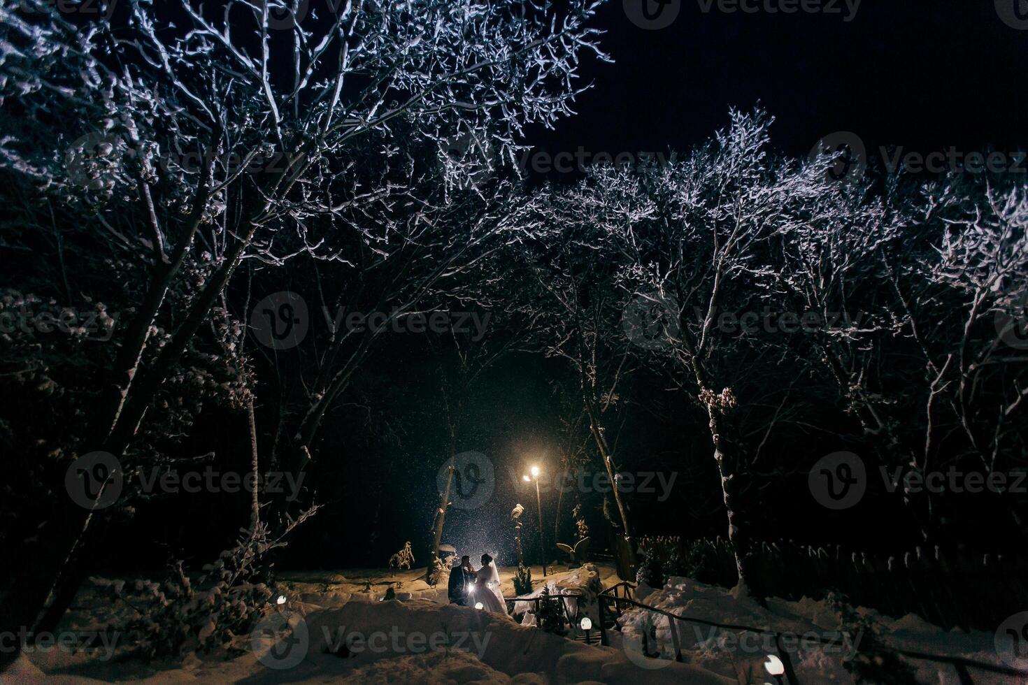 A group of people are sitting around a fire in a snowy forest at night. The scene is peaceful and serene, with the only light coming from the fire and the stars above photo