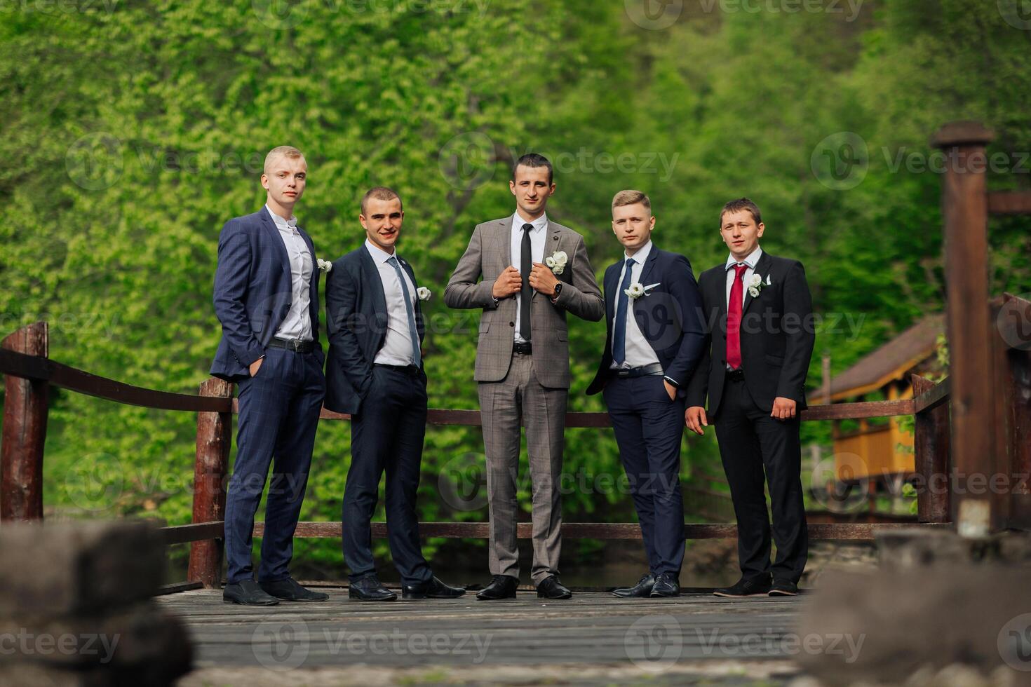 A group of five men are dressed in suits and ties, posing for a photo. Scene is formal and elegant, as the men are dressed in business attire photo