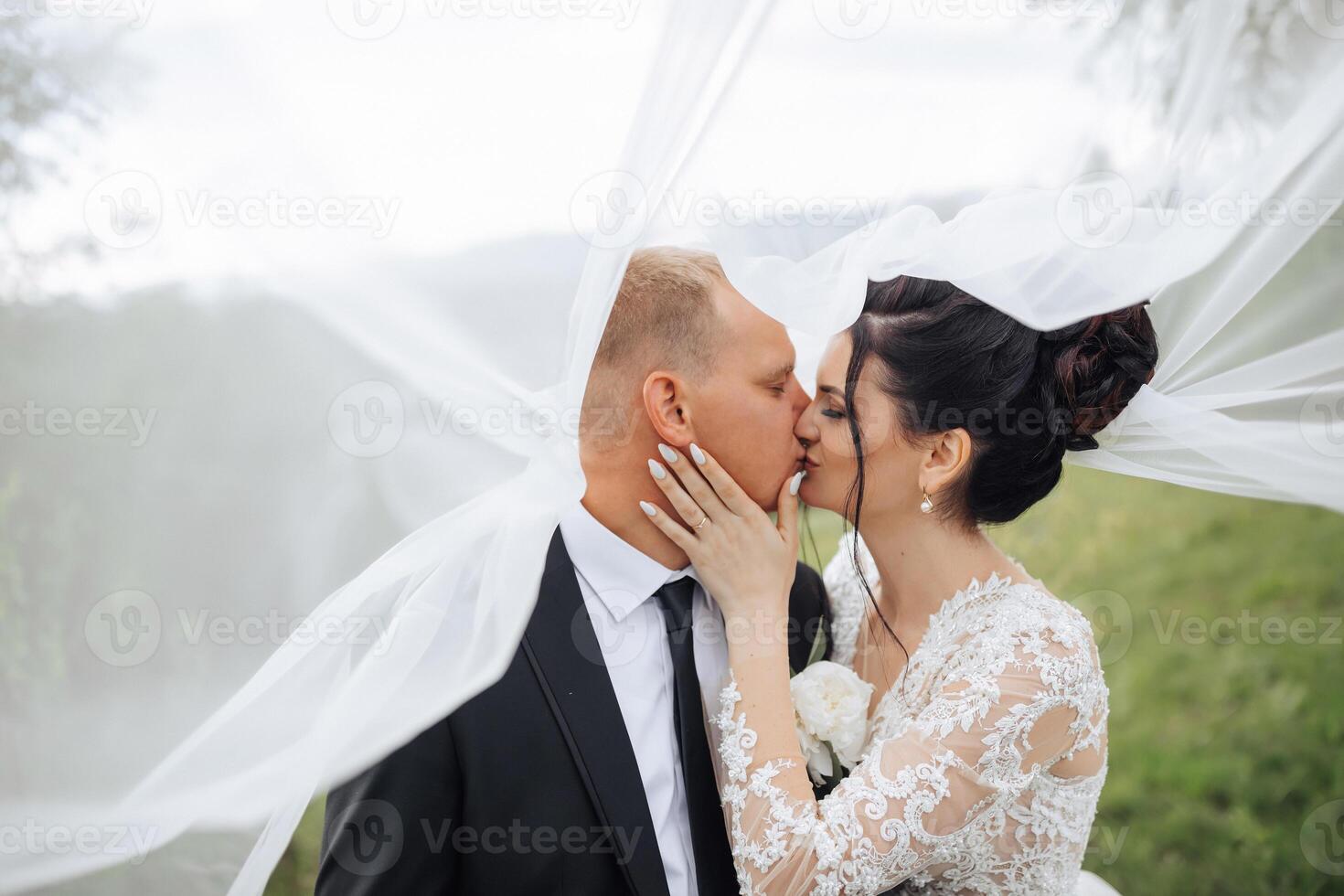 A bride and groom kiss under a white veil. The bride is wearing a white lace dress and the groom is wearing a black suit. The scene is set in a grassy field photo