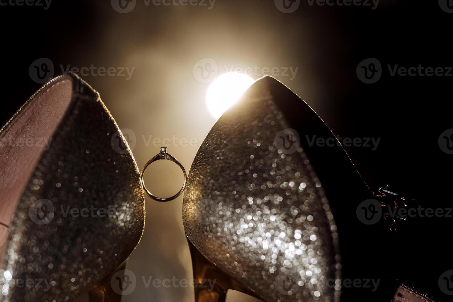 A pair of shoes with a ring inside of them photo