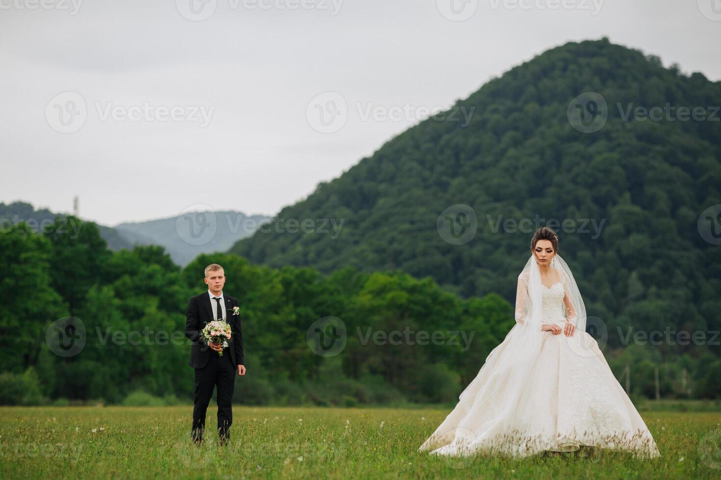 A bride and groom stand in a field with a beautiful view of the mountains in the background. The bride is wearing a white dress and a veil, while the groom is dressed in a suit. The scene is serene photo