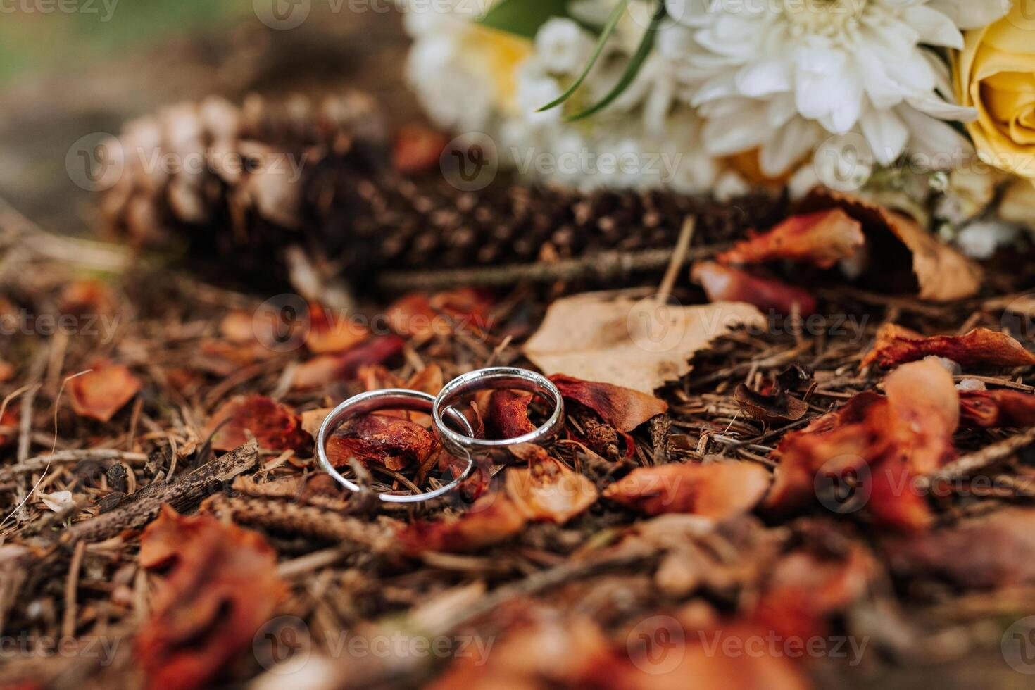 Two wedding rings are on a pile of leaves. The scene gives off a rustic and natural vibe, with the rings representing a couple's commitment to each other photo