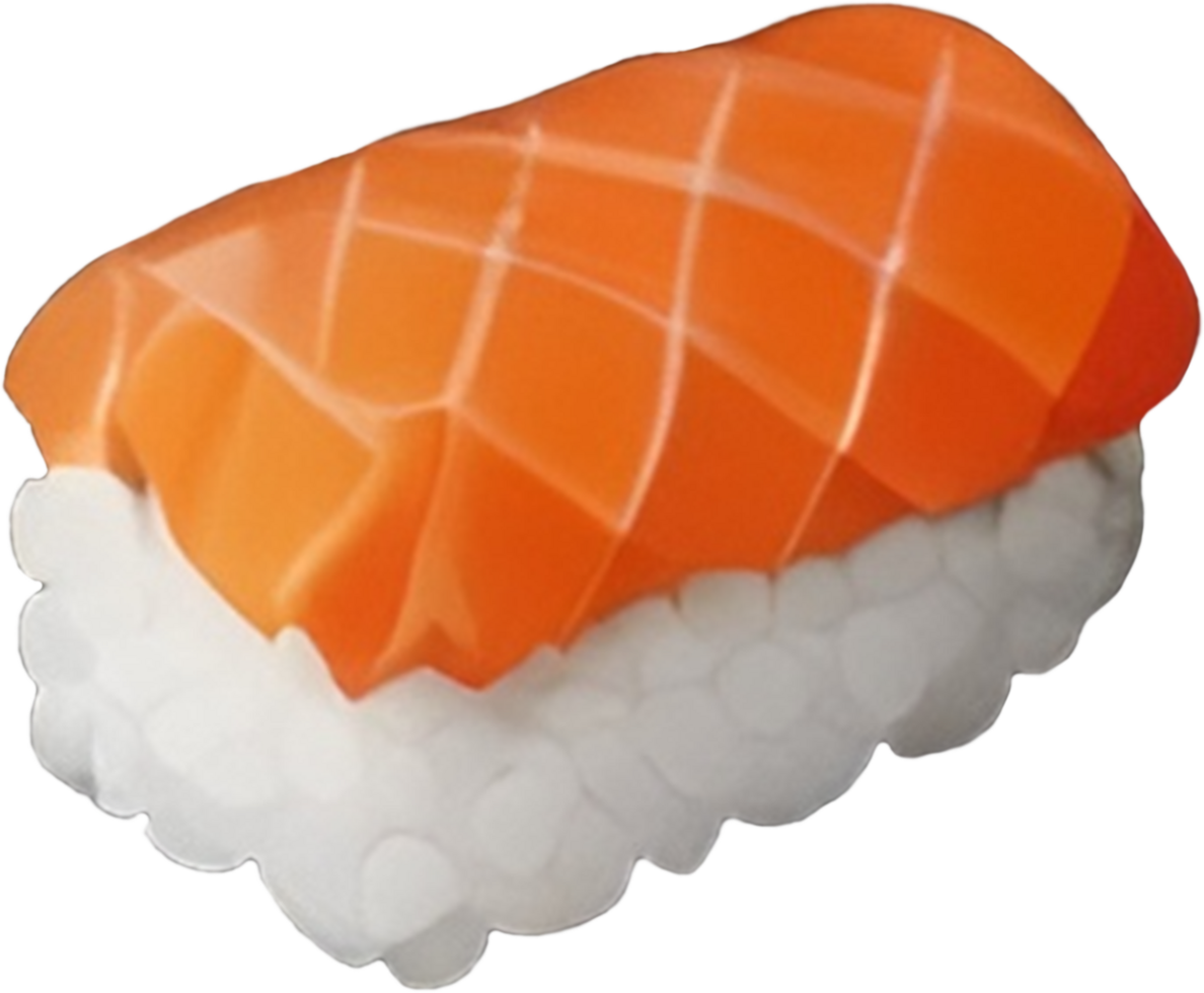 Salmon sushi, sushi elements. png