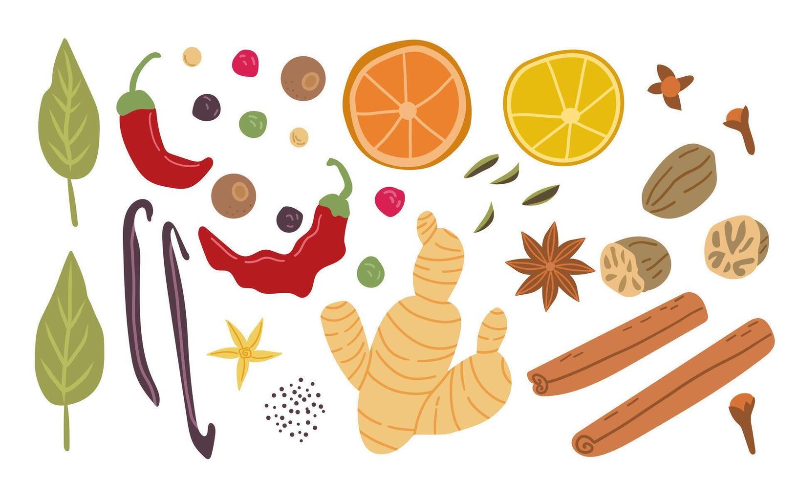 Big set of popular culinary spices. Ginger, chili pepper, nutmeg, anise and clove . For cosmetics store and spa natural health care. Can be used as logo design, price tag and label. vector