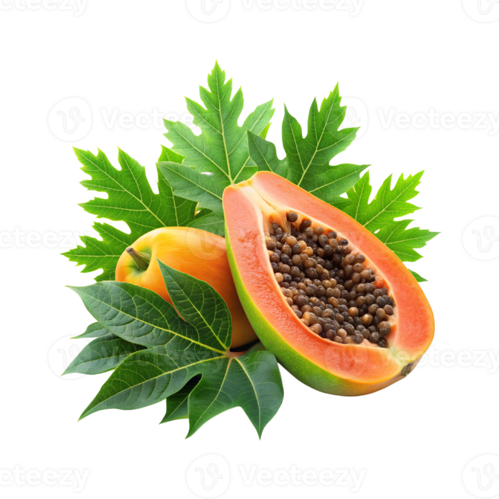 Fresh One papaya and sliced with leaves png