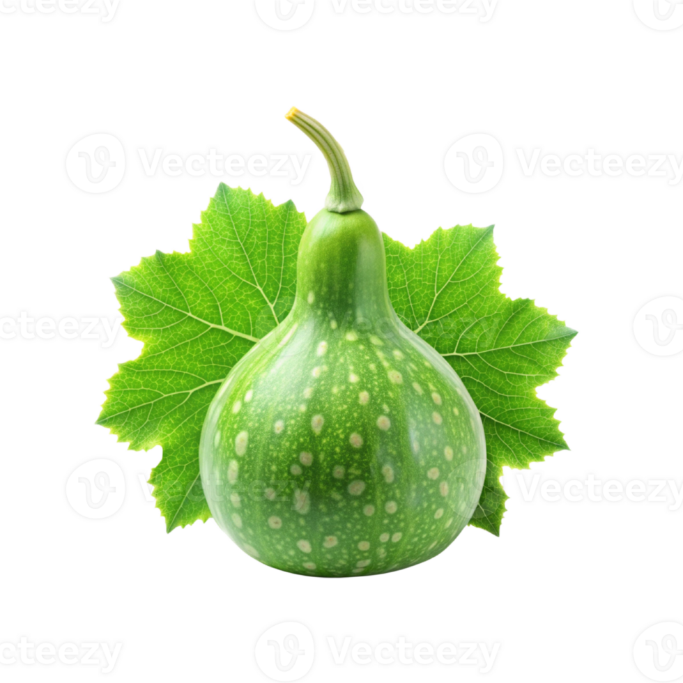 realistic Fresh Bottle gourd with green leaves png