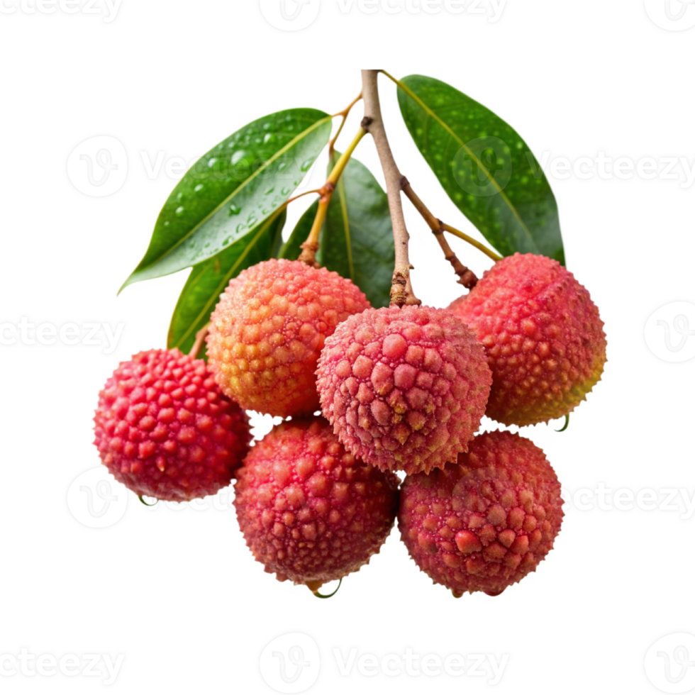 lychee branches from trees png