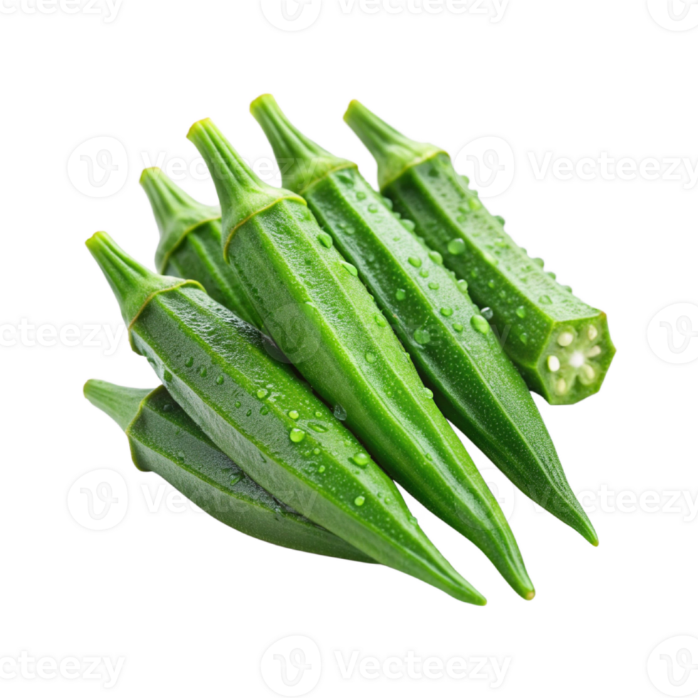 Fresh okra With Dew Drops png