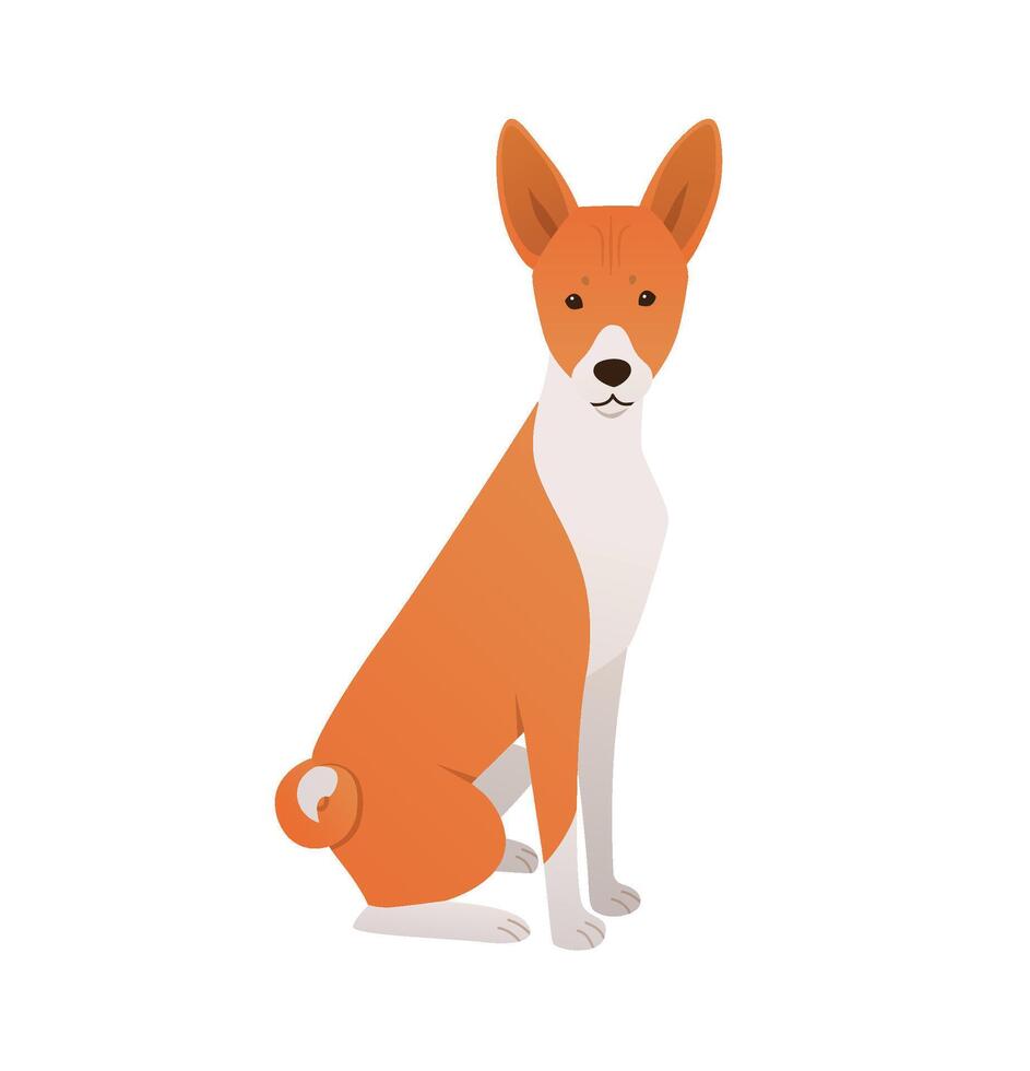 Basenji dog cartoon illustration. Cute pet sitting. Flat design on white background vector