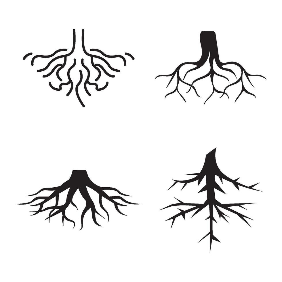 aesthetic tree root icon vector