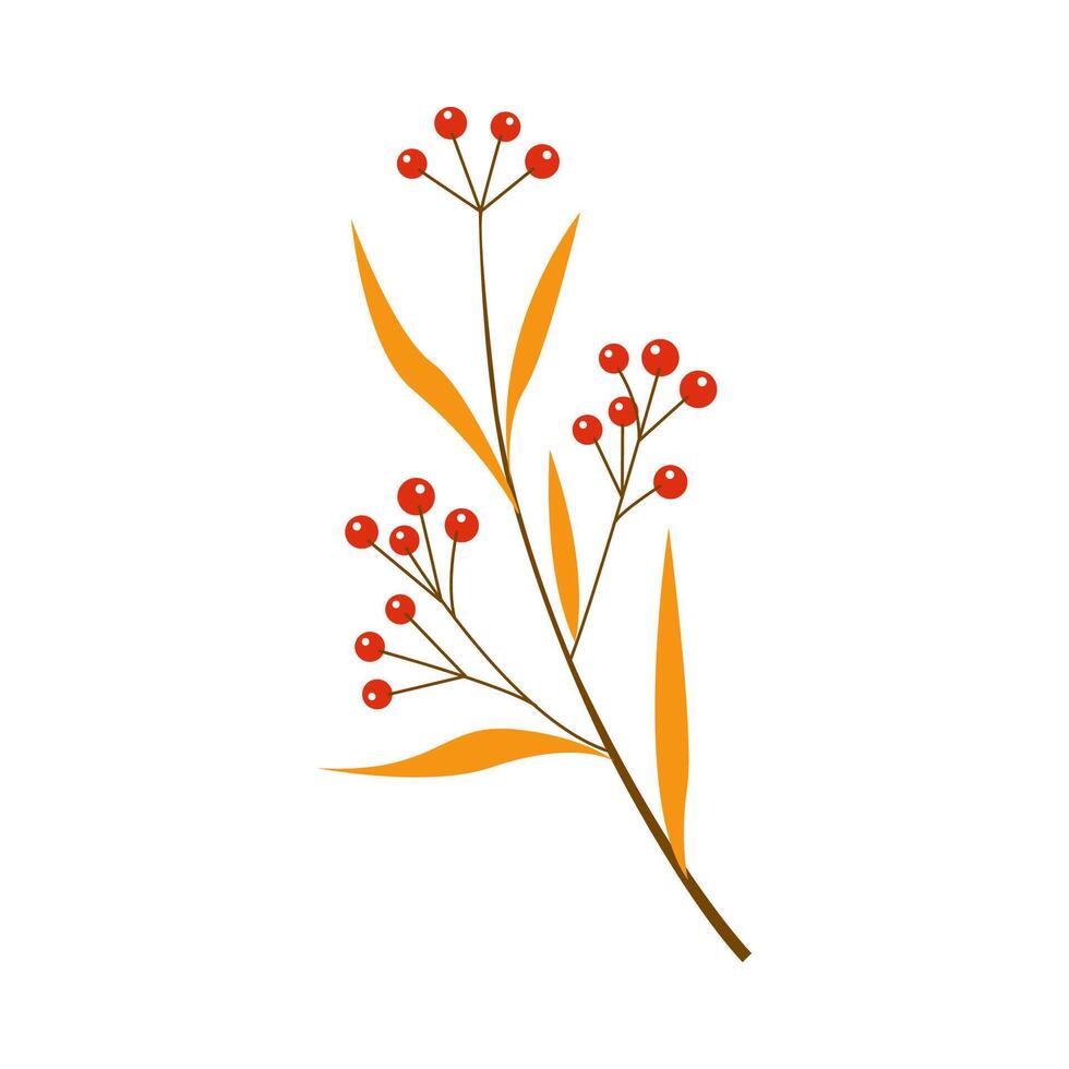 Many red rowan berries with orange autumn leaves, illustration vector