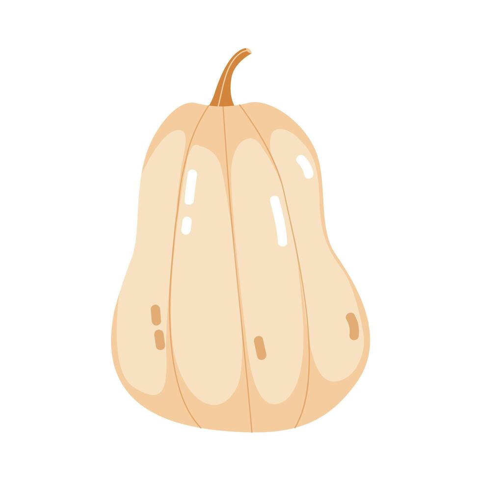 pumpkin illustration isolated on white vector