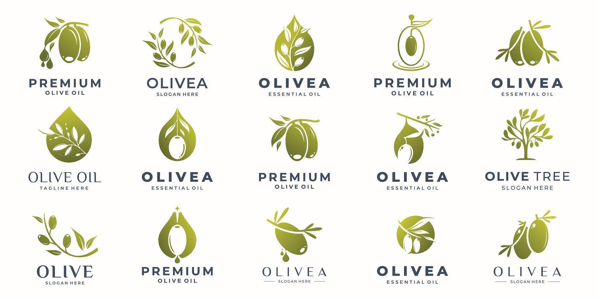Olive logos collection with modern creative concept design premium. vector
