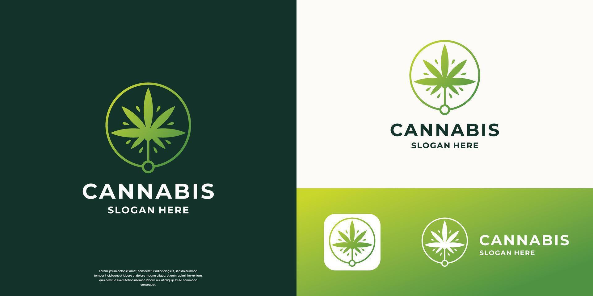 creative of cannabis leaf logo design with circle frame shape concept style illustration. vector
