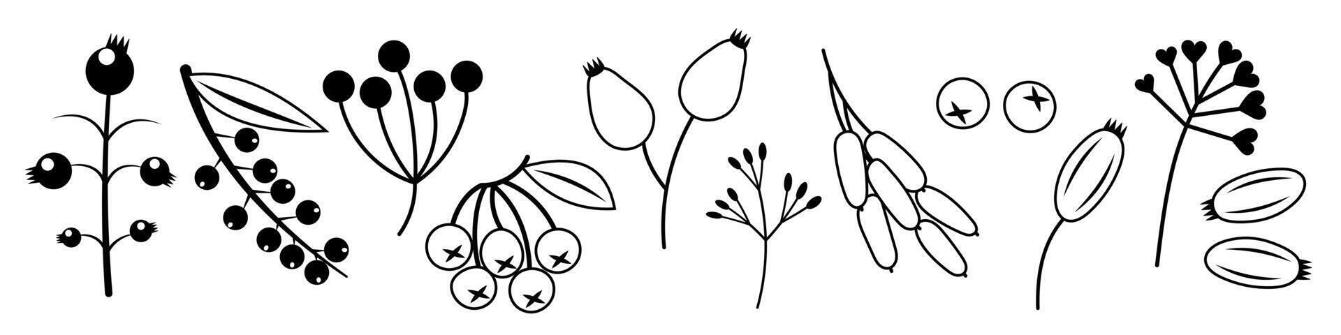Autumn Berry Set. Black and white outline icons of berries. Drawing cute cosy design elements. Autumn, Thanksgiving vector