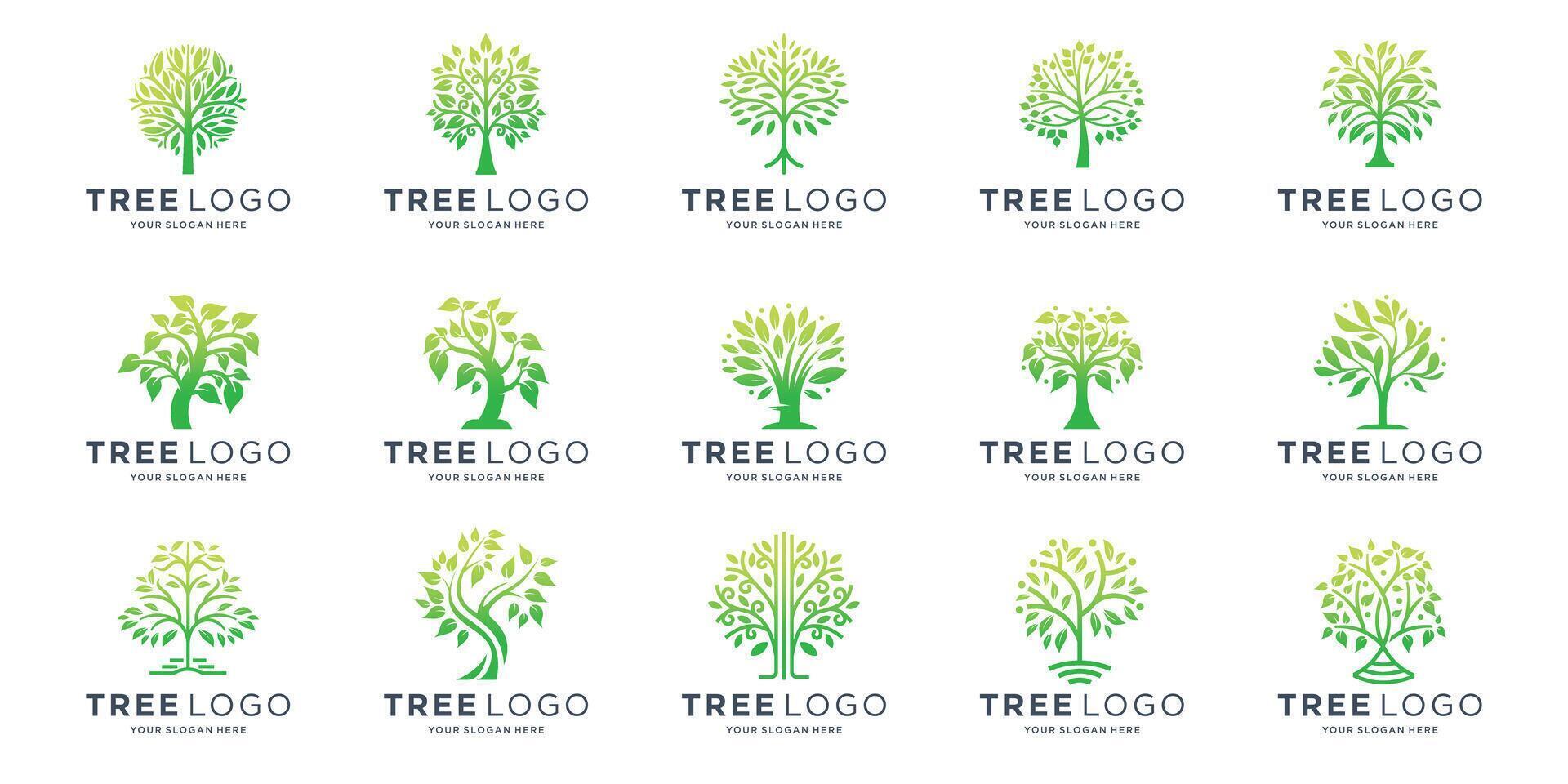 tree logo inspiration, Botanic plant nature symbols. Tree branch with leaves signs. Natural design elements emblem collection illustration vector