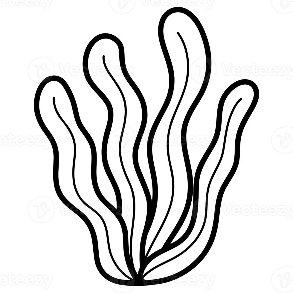 Ocean seaweed doodle png