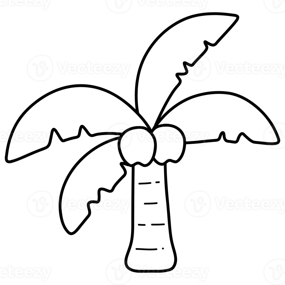 Coconut tree doodle png