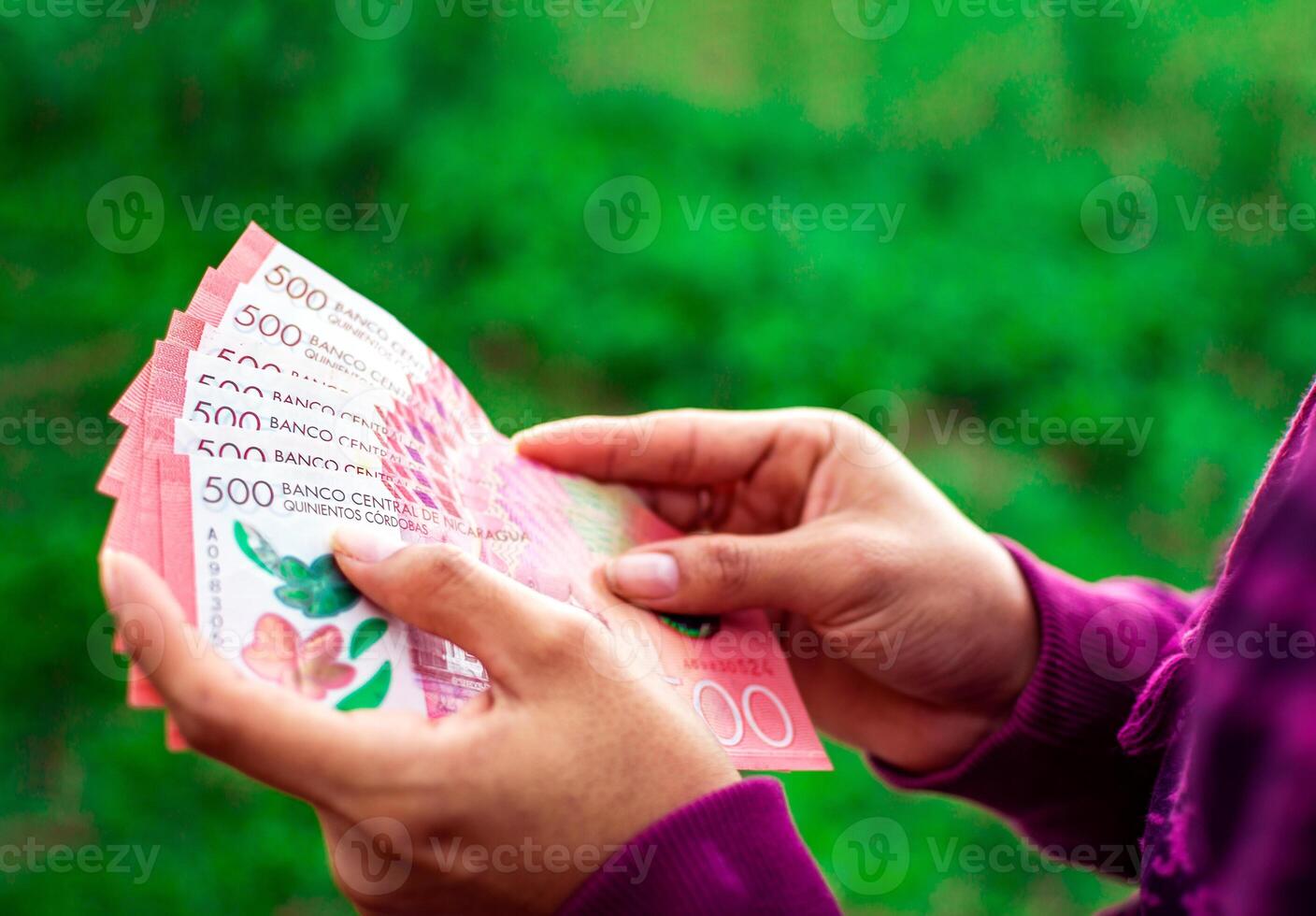 Hands of person counting banknotes, People counting Nicaraguan 500 cordobas banknotes photo