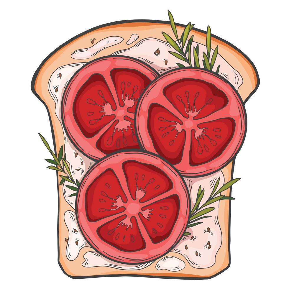 Toast with tomato slices, rosemary branches, white sauce and sesame seeds. Hand drawn food illustration for menu, package design, food ads vector