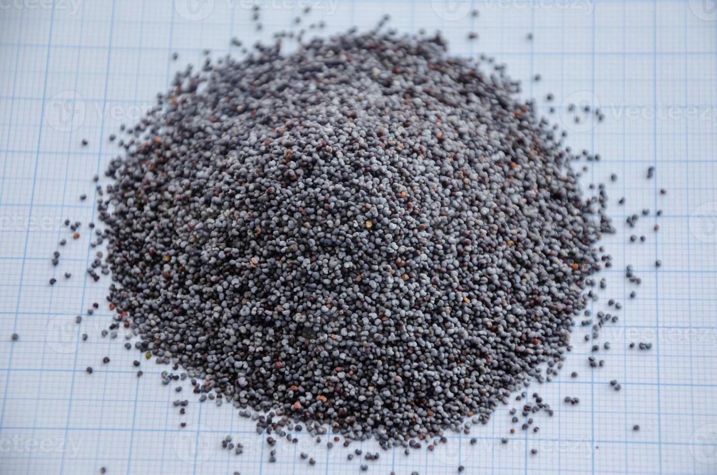 poppy seeds are poured in a pile on graph paper for the concept of size. High quality photo
