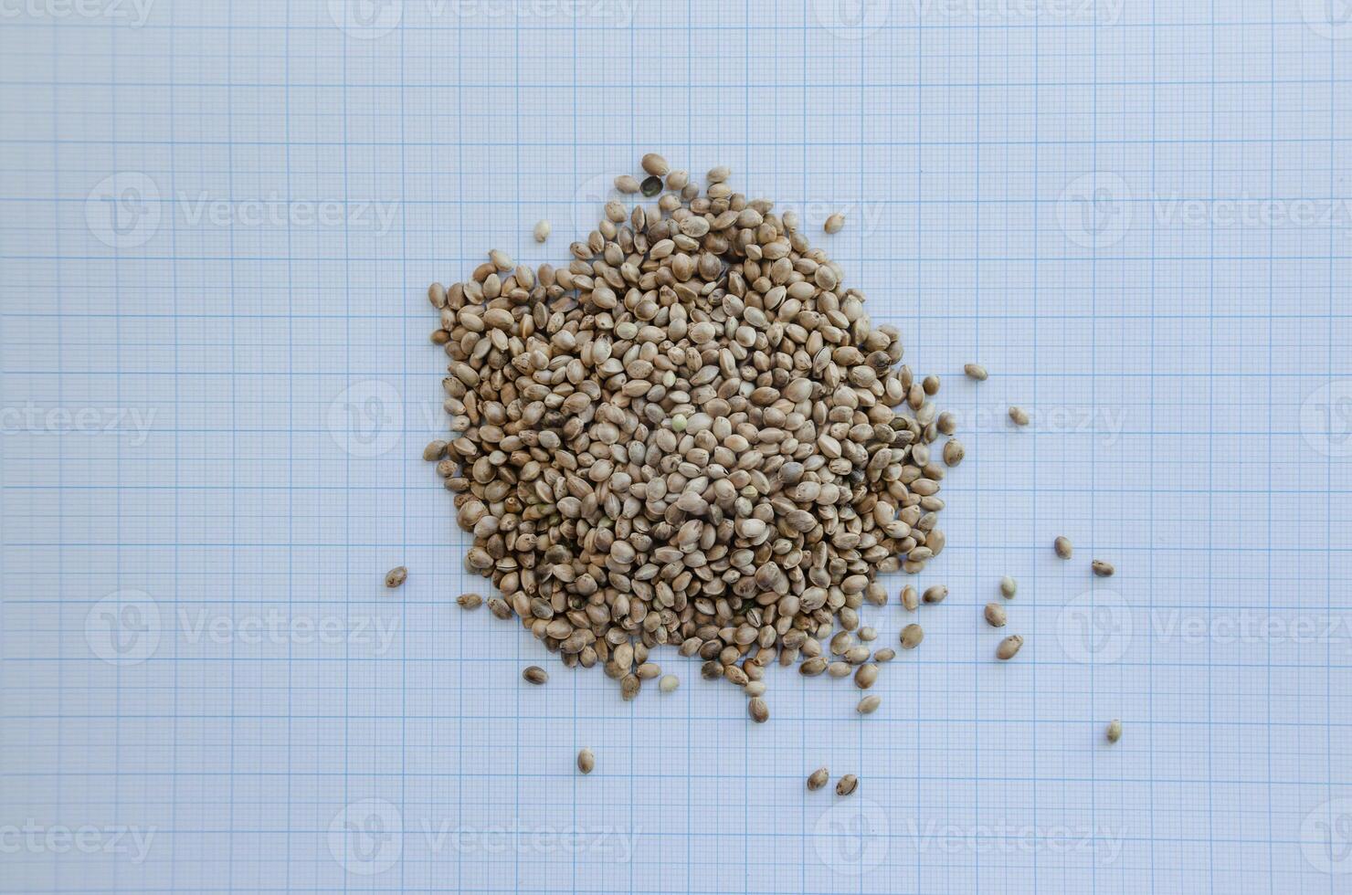 Hemp seeds on graph paper for the concept of seed size. High quality photo